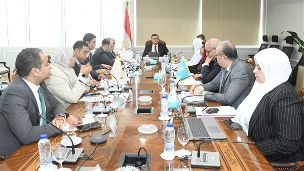 المهندس شريف الشربيني