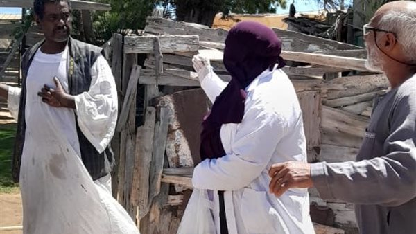 الخدمات البيطرية