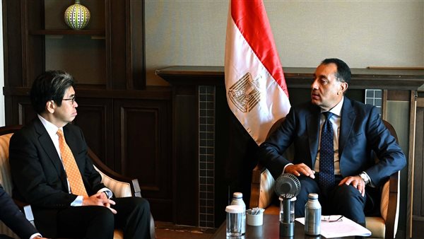 رئيس الوزراء يلتقى