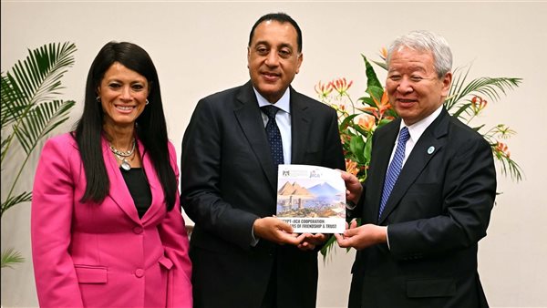 الدكتور مصطفى مدبولي