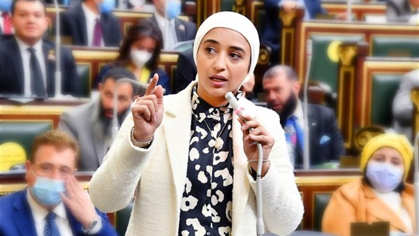  النائبة أميرة أبوشقة