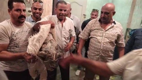 محافظة الجيزة 