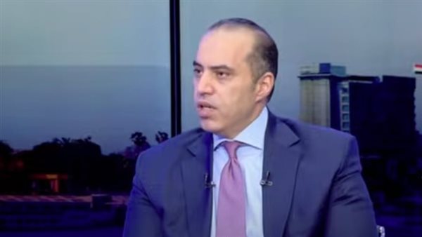 المستشار محمود فوزي