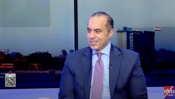 المستشار محمود فوزي