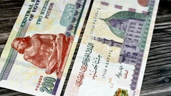 قروض بنك التنمية