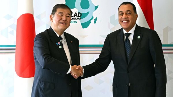 رئيس الوزراء يلتقى