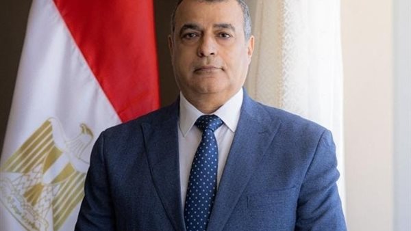 المهندس محمد صلاح