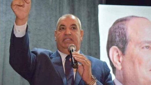 النائب عامر الشوربجي