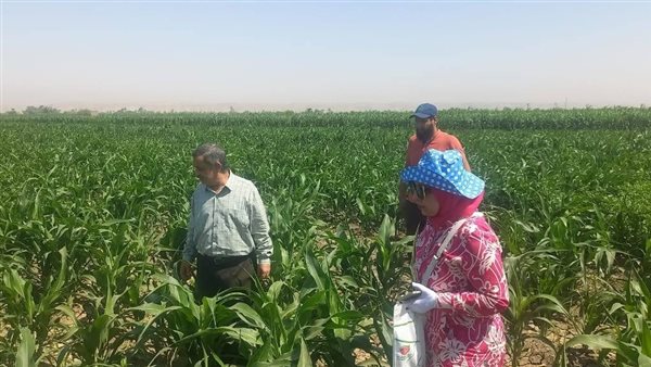 متابعة الحقول المنزرعة