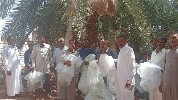 محطة بحوث سيوة التابعة