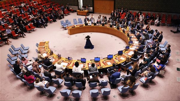مجلس الأمن