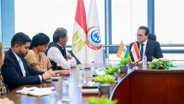 نائب رئيس مجلس الوزراء