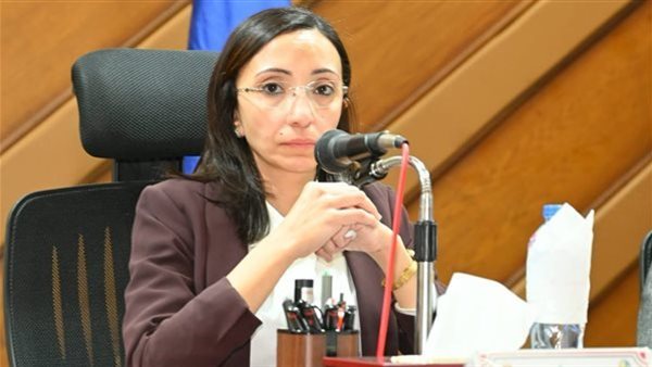 محافظ البحيرة