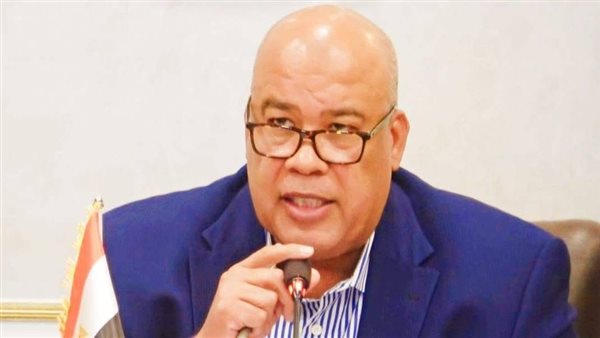  أيمن العشري عضو