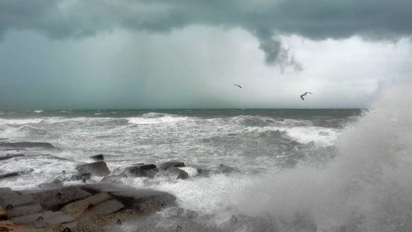 شواطيء محافظة الإسكندرية