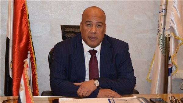 السيد أيمن العشري