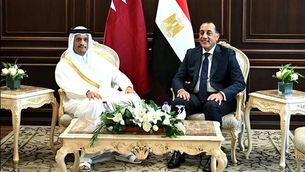 رئيس الوزراء يلتقى