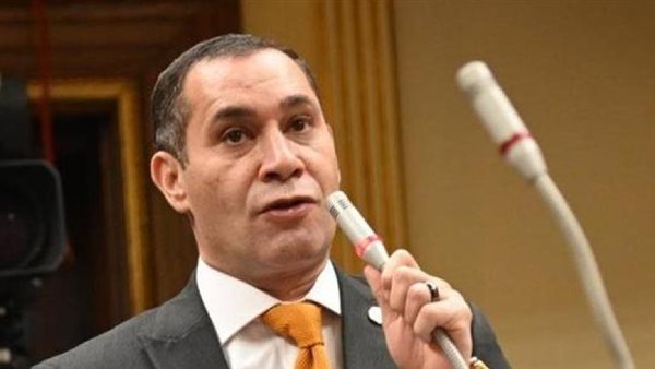 النائب أحمد عاشور