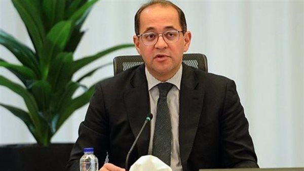 وزير المالية