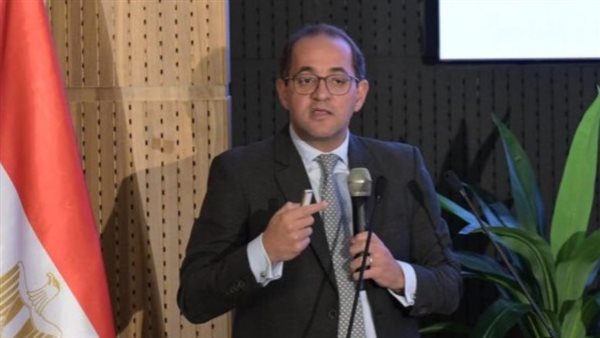 وزير المالية