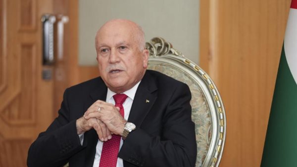 محمد العامور وزير