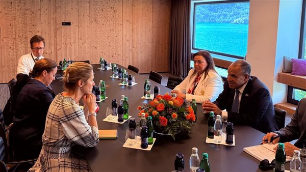 جانب من اللقاء 