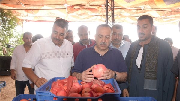  محافظ أسيوط  اللواء