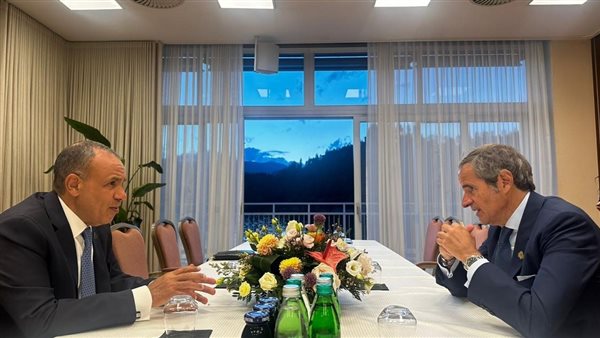 وزير الخارجية يجتمع