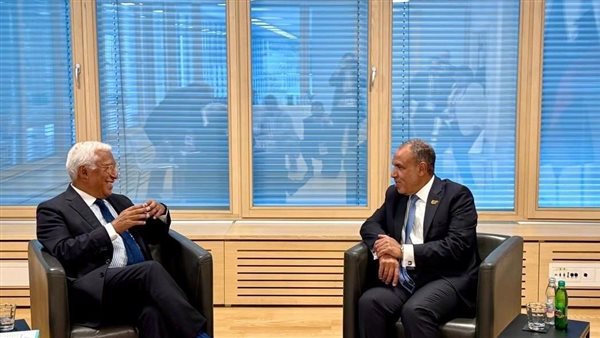 وزير الخارجية يلتقي