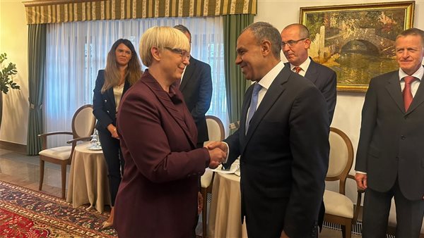 وزير الخارجية يلتقي