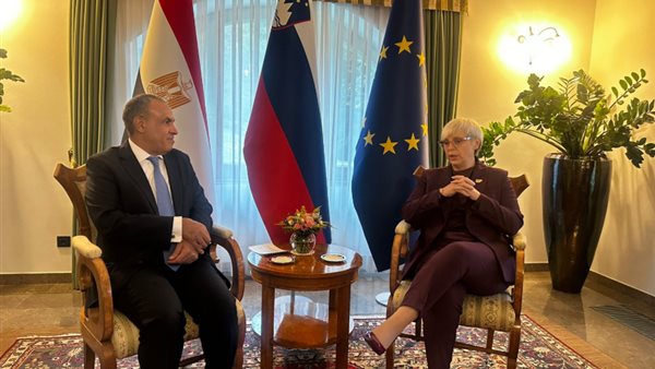 الدكتور بدر عبد العاطي