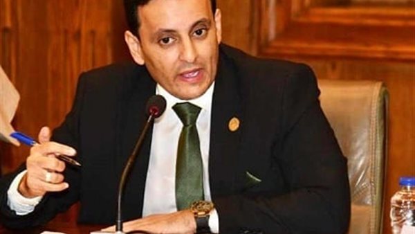  النائب أحمد د. سمير