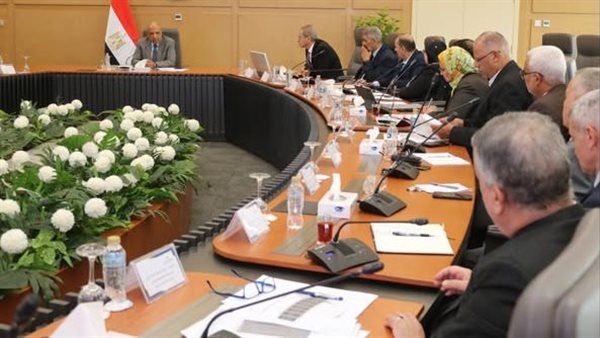 الدكتور محمود عصمت