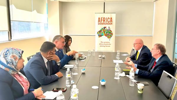 المهندس كريم بدوي