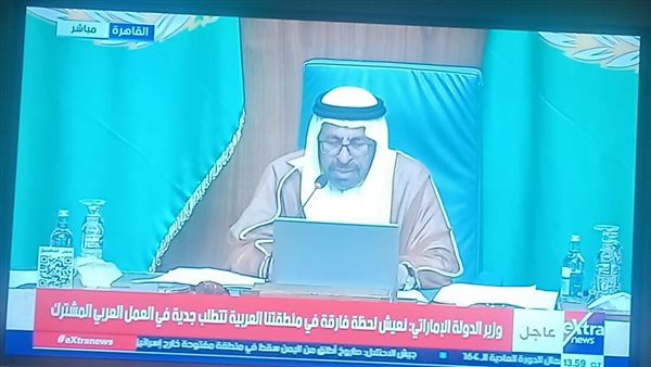 وزير دولة الإمارات