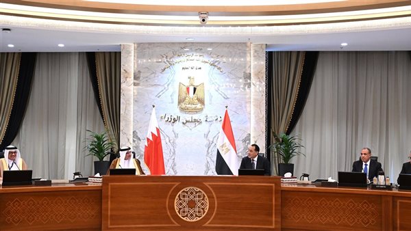 رئيس الوزراء وولي