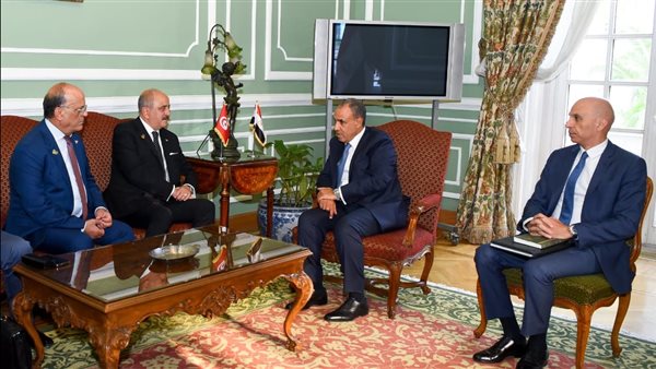 وزيرا خارجية مصر