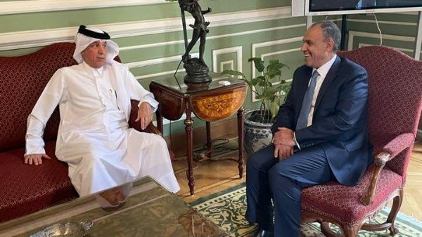 بدر عبد العاطي وزير