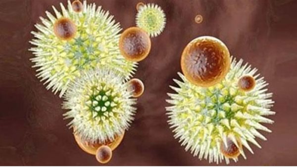  فيروس الإيبولا