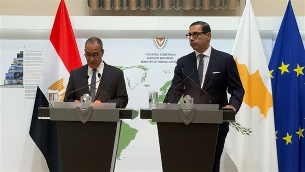 وزير الخارجية المصري