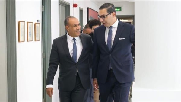 وزير الخارجية المصري