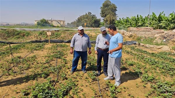 الإدارة المركزية