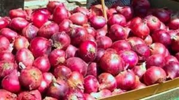 أسعار البصل اليوم