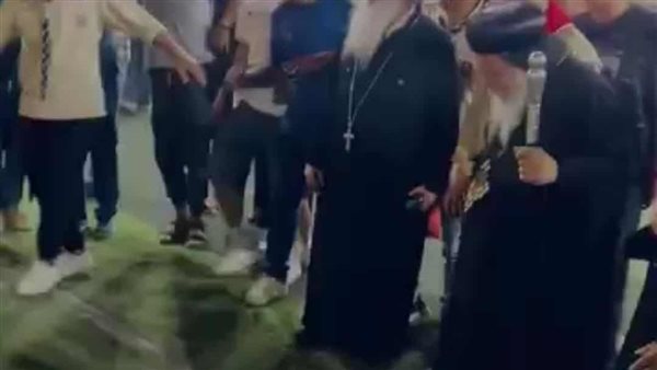 صورة توضيحية 