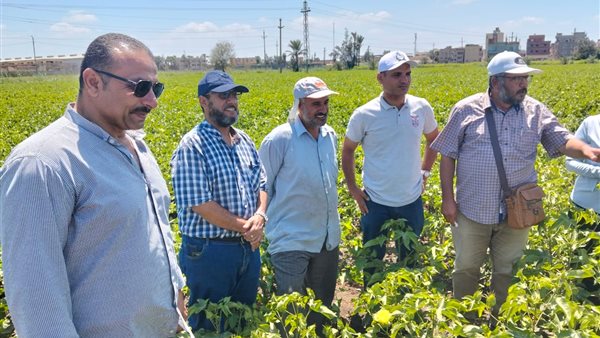 الإدارة المركزية