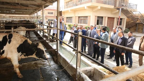  محافظ كفرالشيخ