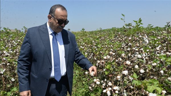 محافظ أسيوط