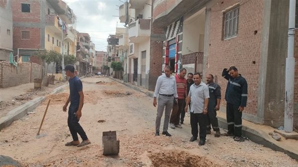 محافظه البحيره 