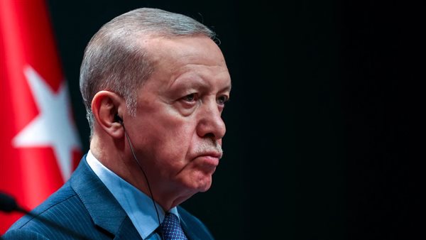 احتجاجات ضد أردوغان