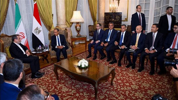 وزير الخارجية المصري